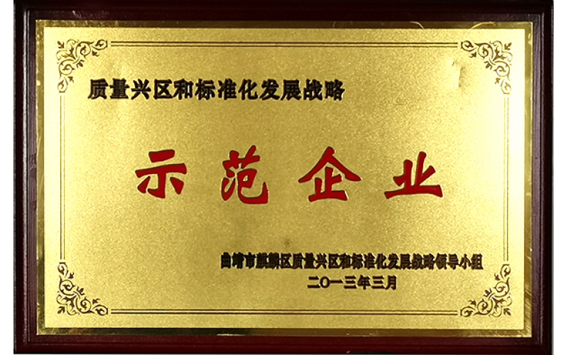 質(zhì)量興區(qū)和標(biāo)準(zhǔn)化發(fā)展戰(zhàn)略示范企業(yè)（2013年）